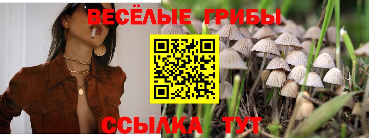 Галлюциногенные грибы Cubensis  Галлюциногенные грибы GOLDEN TEACHER  закладка  Вход с VPN  Зеленокумск 